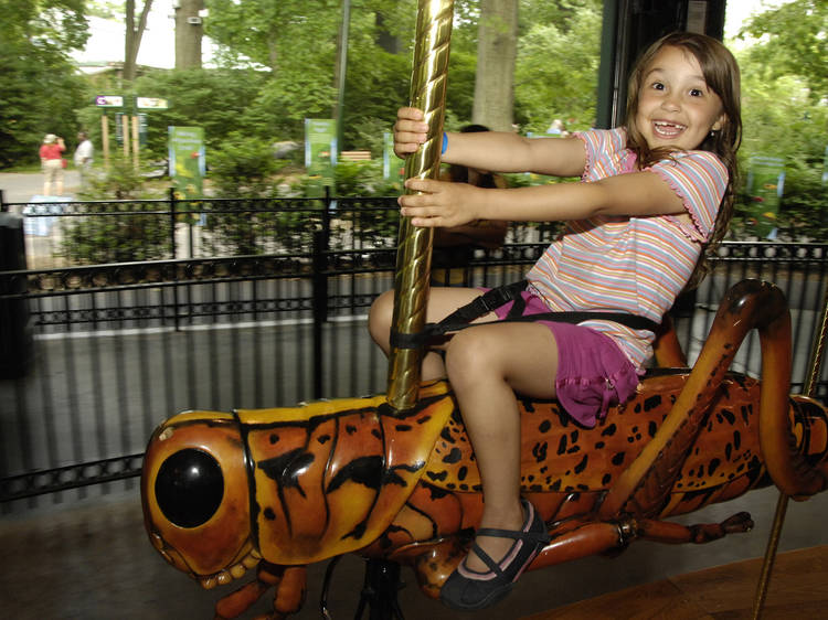 Bug Carousel