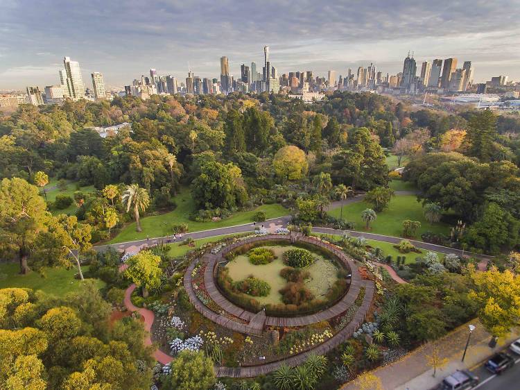 Get back to nature in the Royal Botanic Gardens