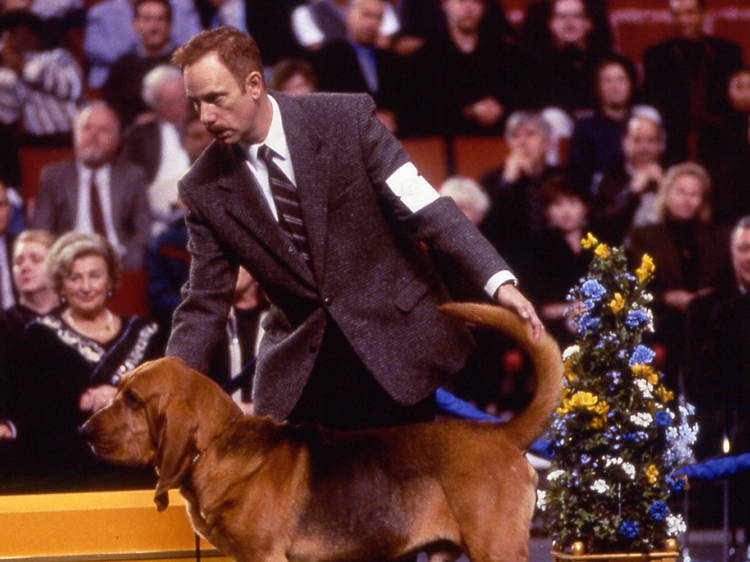 Best in Show (2000)