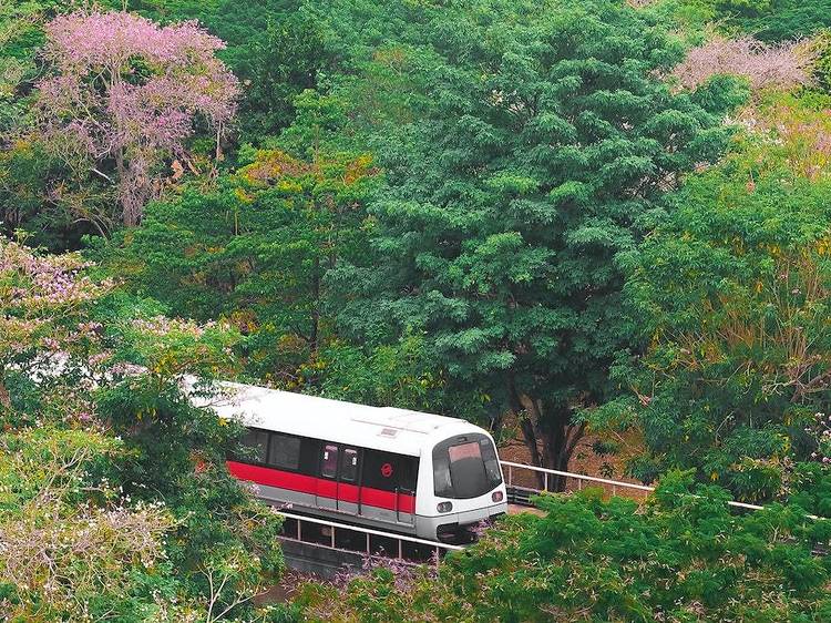 Fun facts you didn't know about Singapore's MRT stations