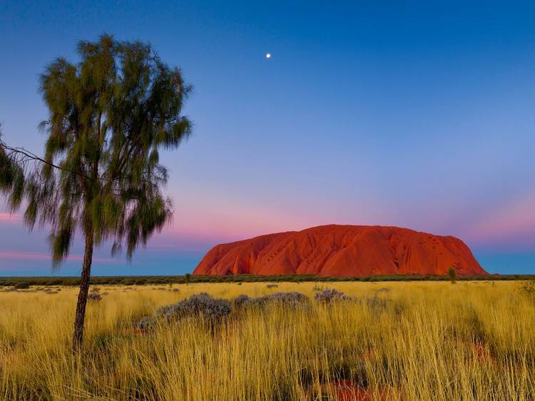 Uluru, by Andrew Barnes