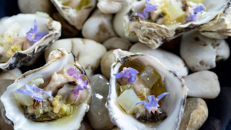 20 best restaurants for Valentine’s Day in Boston