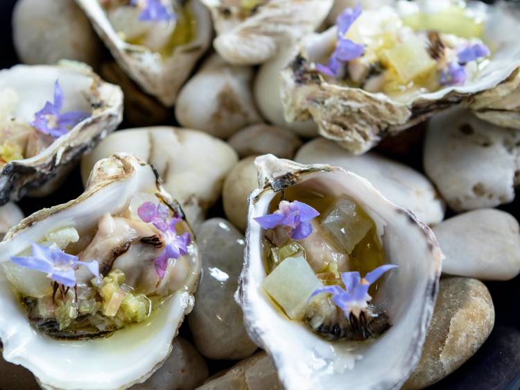 20 best restaurants for Valentine’s Day in Boston