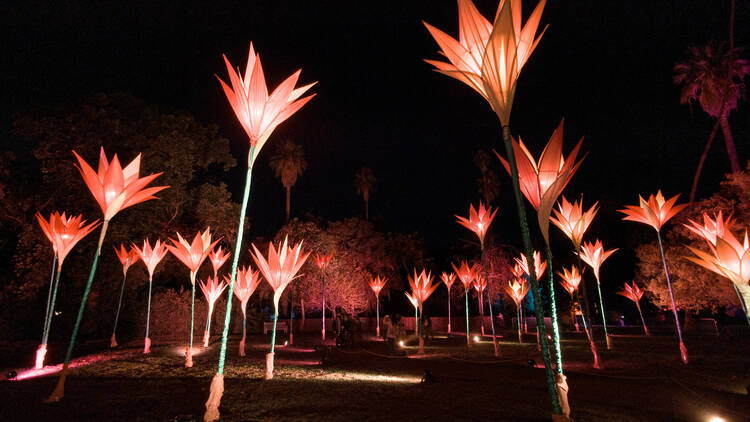 Lightscape is bringing glittering lights to the L.A. County Arboretum