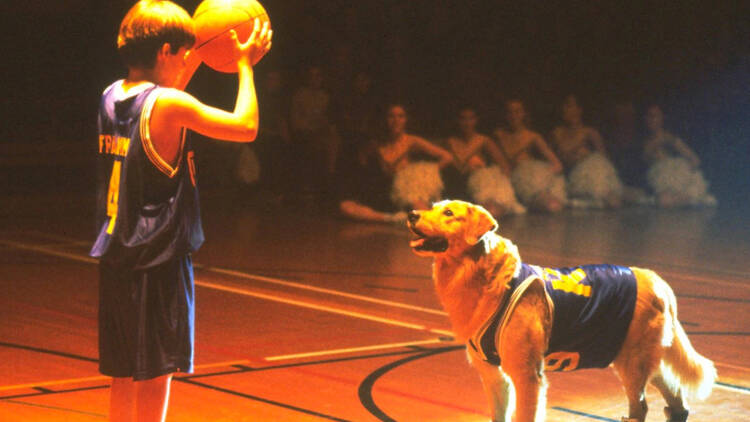 Air Bud (1997)