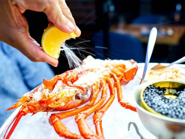 Savor the best lobster dishes