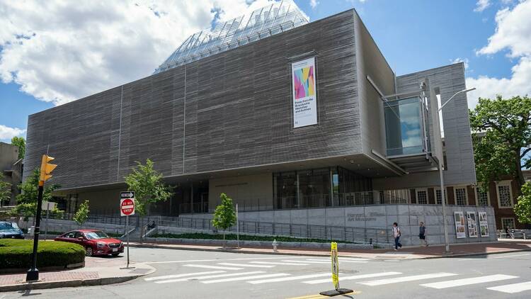 Study at the Harvard Art Museums