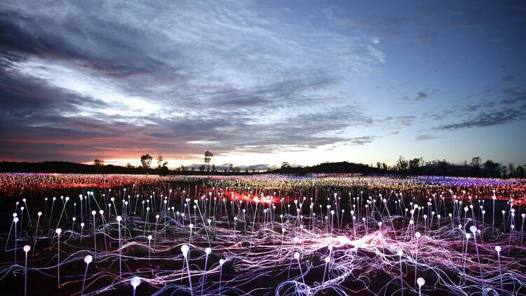 Walk in a field of glowing lights