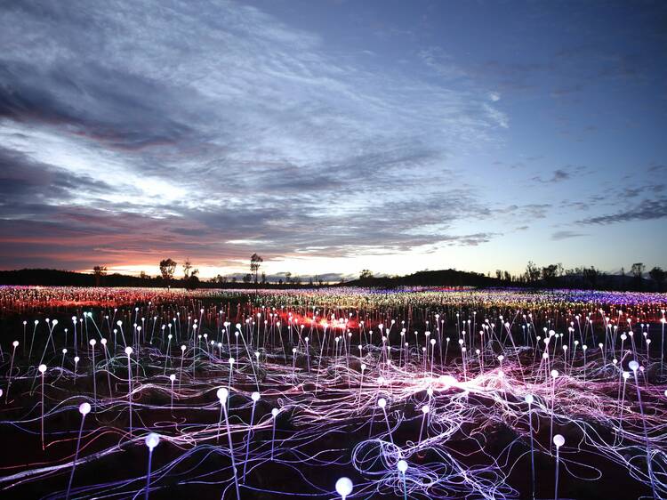 Walk in a field of glowing lights