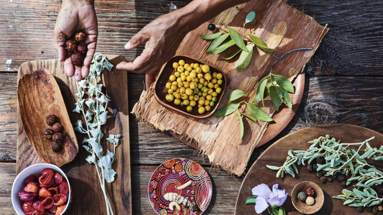 Feast of fresh bush food