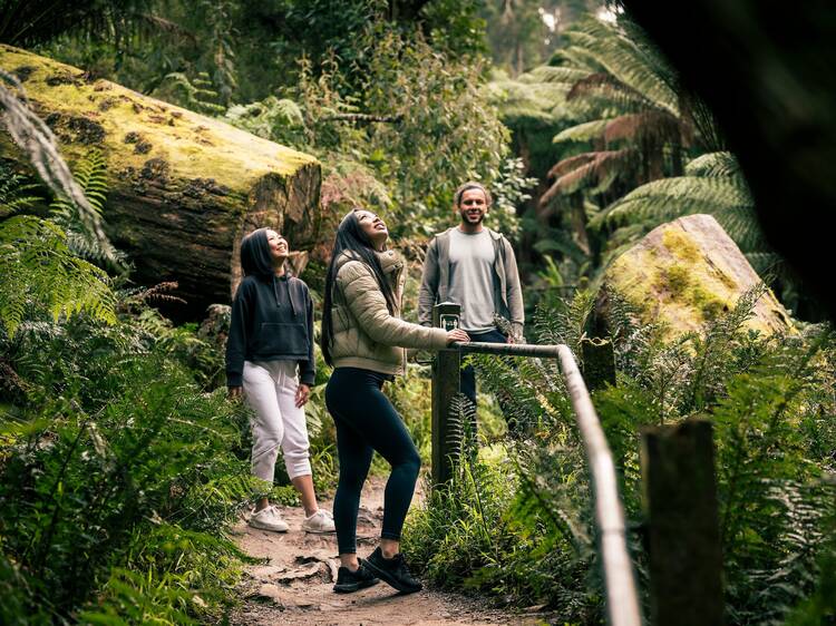 Attempt the 1,000 Steps Kokoda Track Memorial Walk