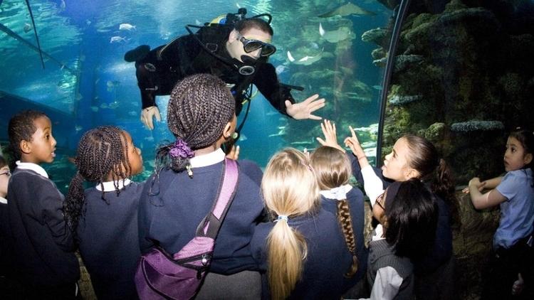 © Sea Life London Aquarium