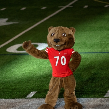 Touchdown, Cornell's Mascot, stands on the Schoellkopf Field.