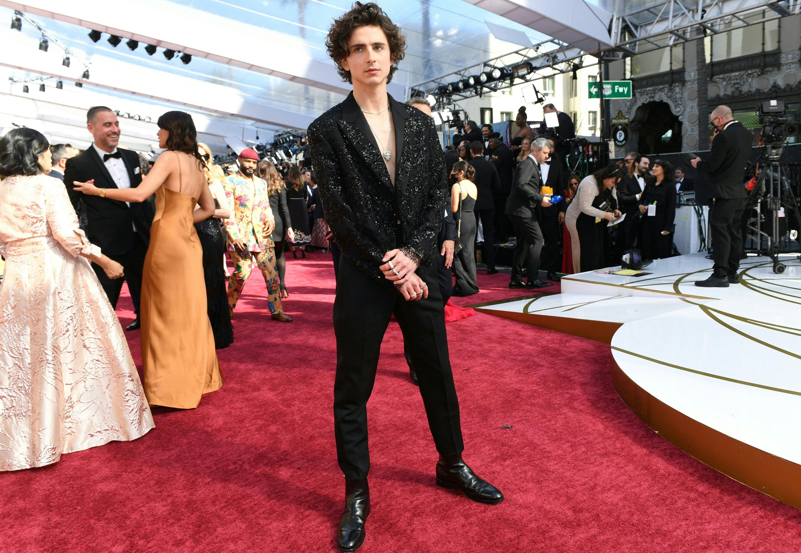 Image may contain Timothe Chalamet Human Person Red Carpet Fashion Red Carpet Premiere Premiere and Footwear