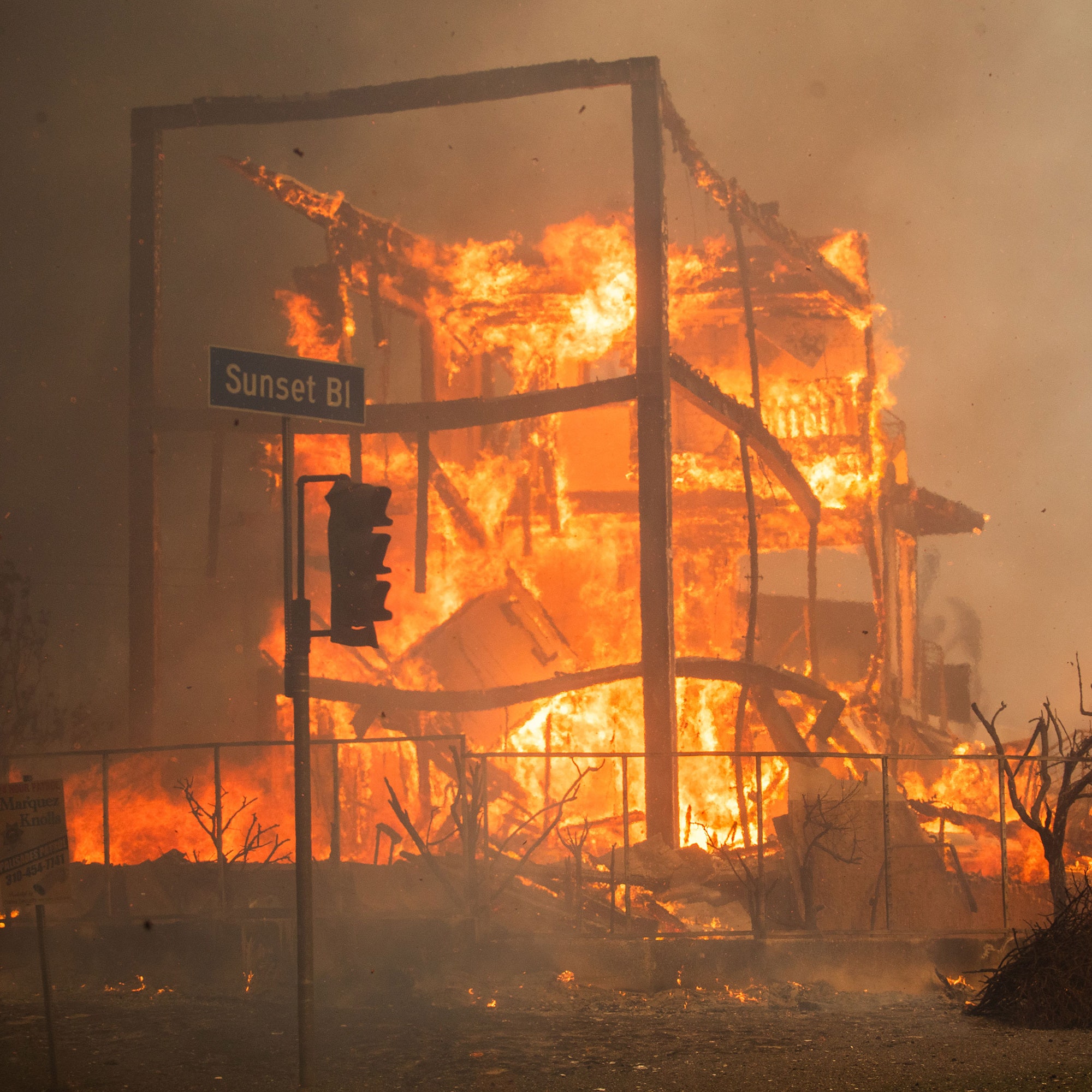 “It’s Almost Like Noah’s Ark”: Jeff Klein’s Sunset Tower Is Housing Wildfire Refugees&-and Their Pets