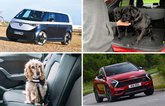 Best cars for dogs 2023