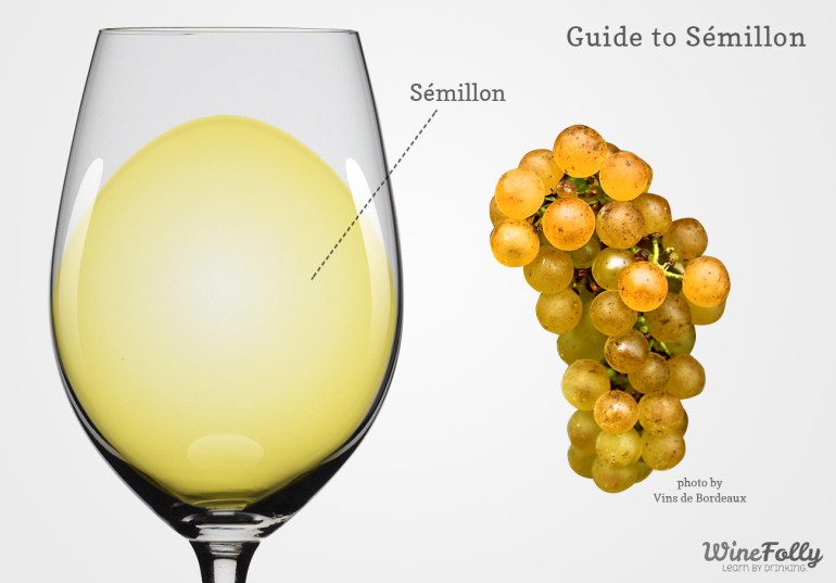 Semillon wine in a glass with grapes