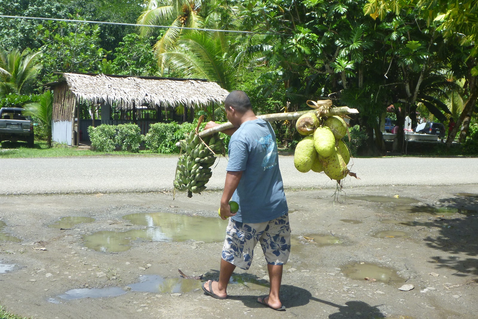 Breadfruit Is Here to Save the World