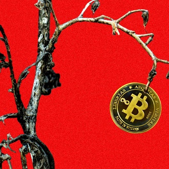 In the Kentucky Mountains, a Bitcoin Mining Dream Turned Into a Nightmare