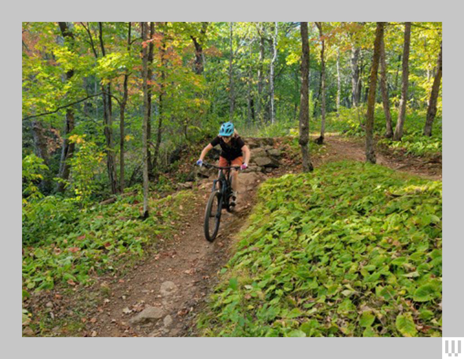 Trek Slash+ 9.7 SLX/XT Electric Mountain Bike Review: Oh So Quiet | WIRED image.