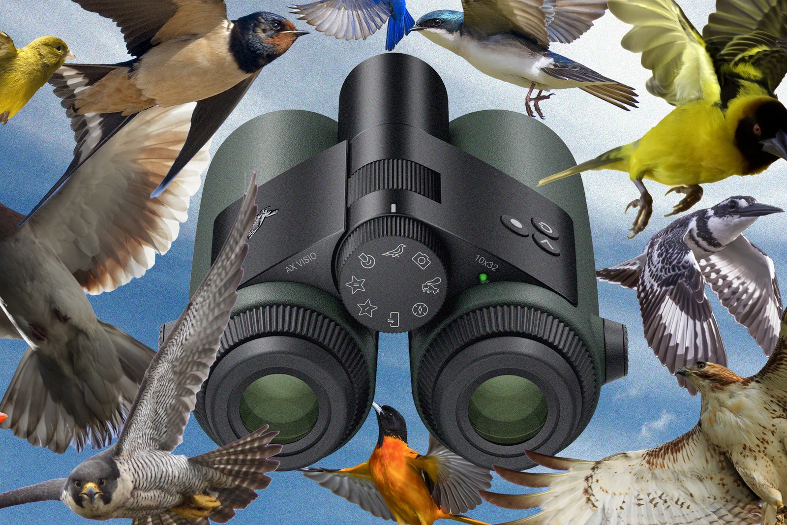 I Went Birding With the World’s First AI-Powered Binoculars