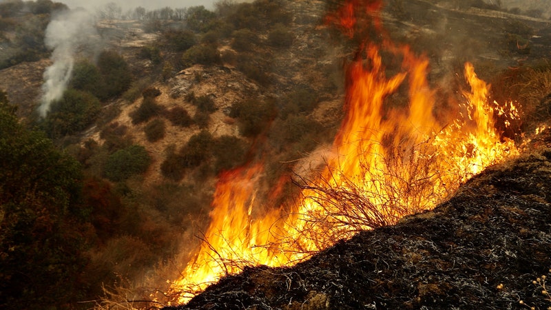 Wildfire Smoke Is Even More Dangerous Than Anyone Knew