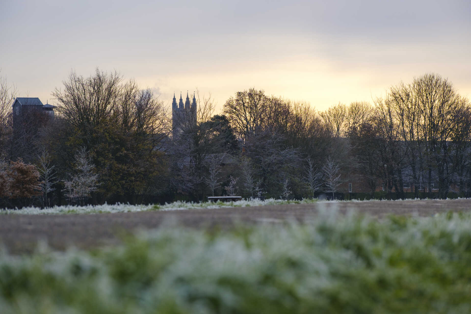 frosty campus photo