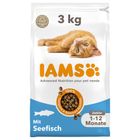 IAMS Advanced Nutrition Kitten with Ocean Fish