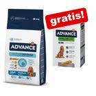 Advance droogvoer + Dental Care Snack gratis!