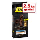 Extra voordelig! 16,5 kg Pro Plan droogvoer