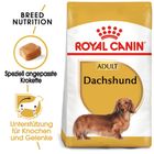 Royal Canin Dachshund Adult