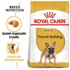 Royal Canin French Bulldog Adult