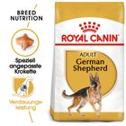 Royal Canin German Shepherd Adult