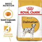 Royal Canin Dalmatian Adult