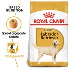 Royal Canin Labrador Retriever Adult