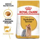 Royal Canin Yorkshire Terrier Adult