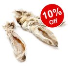 Wolf of Wilderness Dried Ears Dog Chews - 10% Off! *