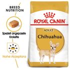 Royal Canin Chihuahua Adult