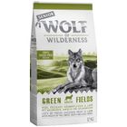 Wolf of Wilderness Senior Green Fields - lammas