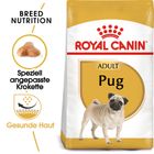 Royal Canin Pug Adult