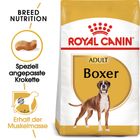 Royal Canin Boxer Adult