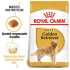 Royal Canin Golden Retriever Adult