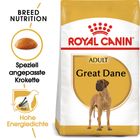 Royal Canin Great Dane Adult