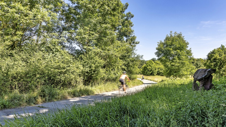 Natur pur: mit dem Rad unterwegs durch Flussauen und sattgrüne Landschaften auf der Kühkopf-Insel bei Stockstadt