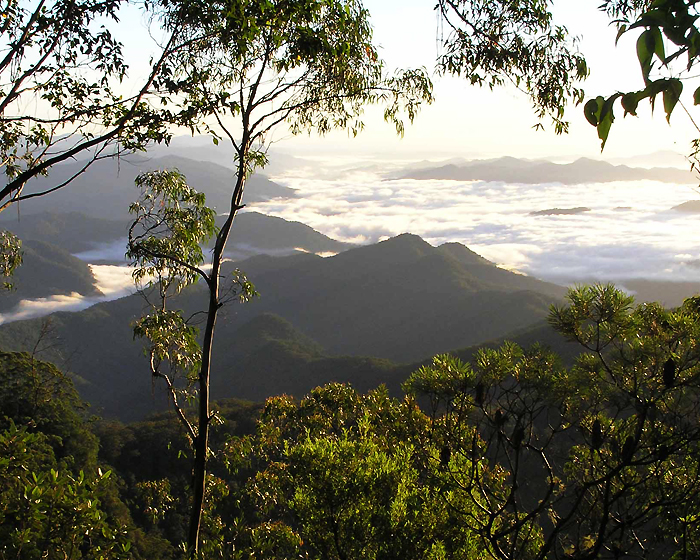 An Instagrammer’s Guide to South East QLD’s Hidden Gems