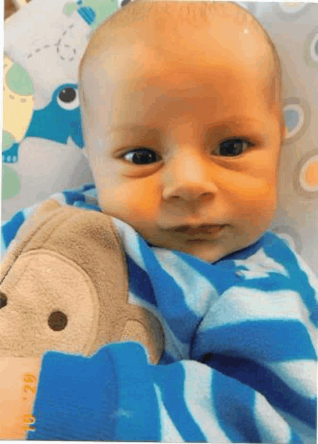 a baby is wrapped in a blue and white blanket and holding a stuffed animal