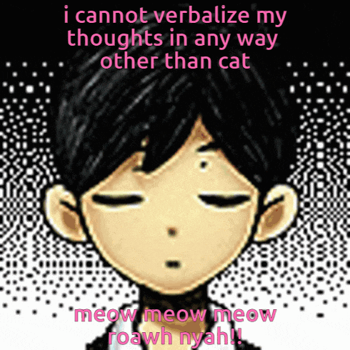 a picture of a boy with the words i cannot verbalize my thoughts in any way other than cat meow meow meow