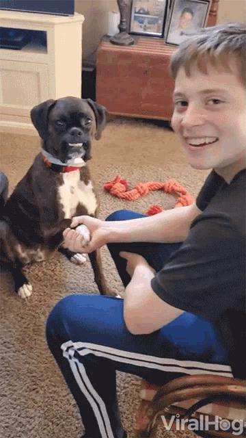 a boy is playing with a boxer dog in a living room and the dog is smiling at the boy