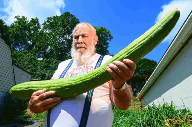 a man with a beard wearing a maryland shirt holds a large cucumber