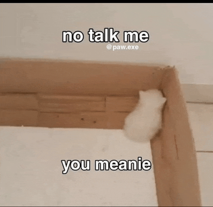 a white kitten is sitting in a cardboard box and says no talk me you meanie .